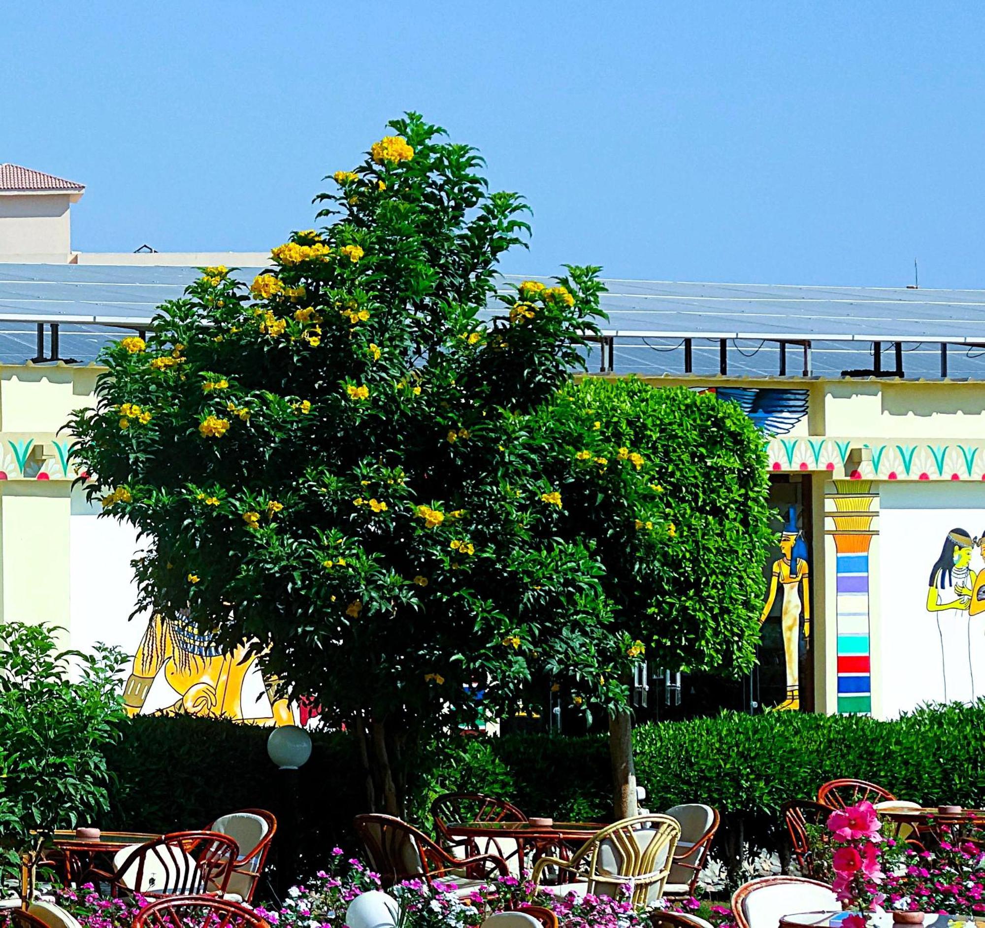 Resort Magic